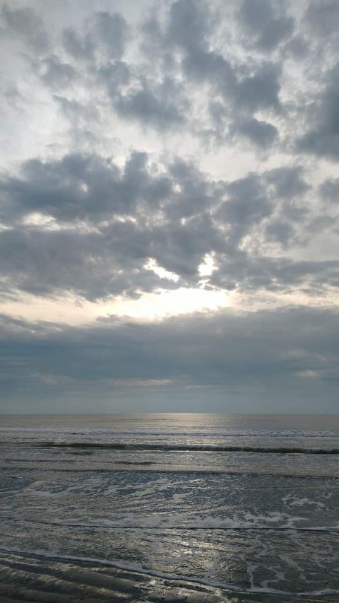 Heavenly Breeze Movers profile image