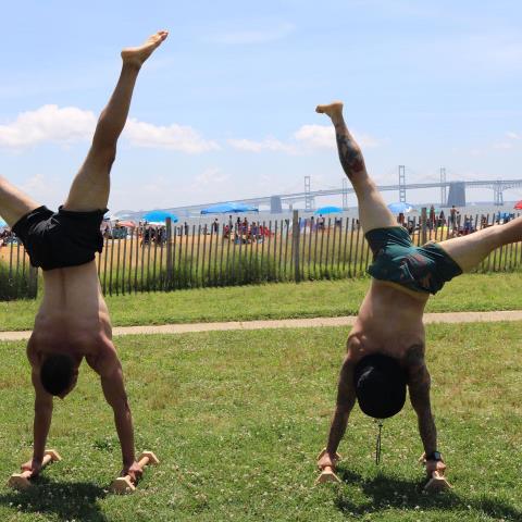 Gymnastics Strength Moving profile image