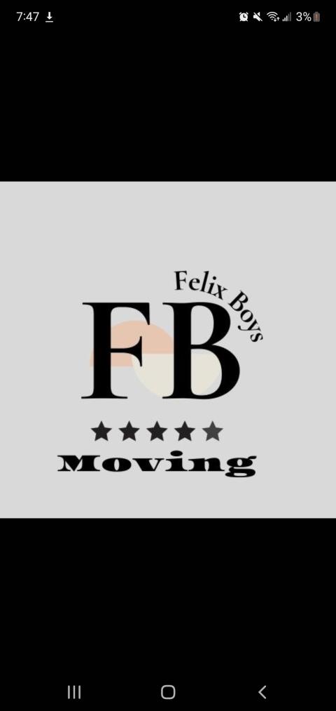Felix Boys Moving  profile image