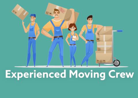 Experienced Movers profile image
