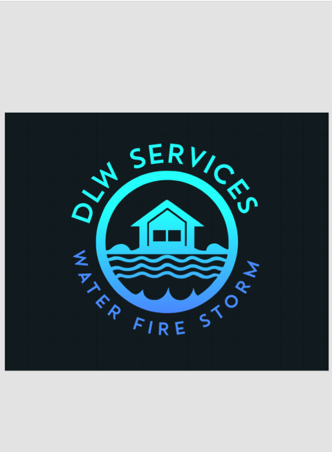 DLW Services profile image