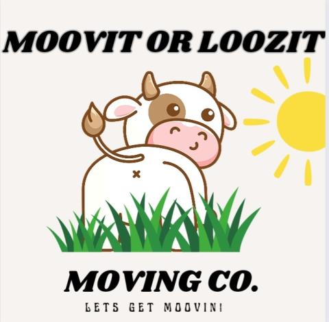 MOOVIT OR LOOZIT profile image