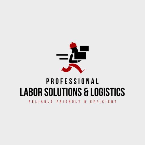 Professional Labor Solutions profile image
