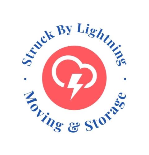 Struck By Lightning profile image