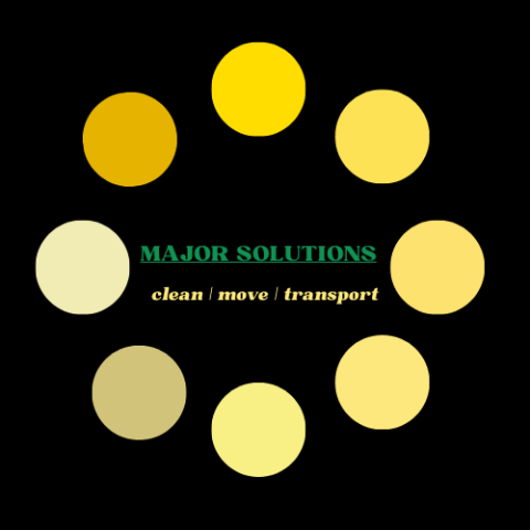 Major Solutions Services profile image