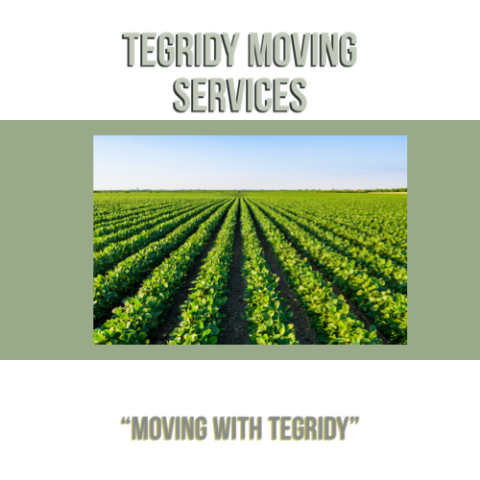 Tegridy Moving Services profile image