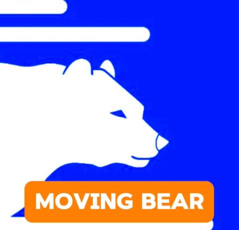 Moving Bear profile image