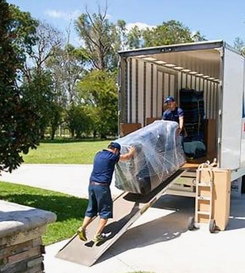 Muscle Boys profile image