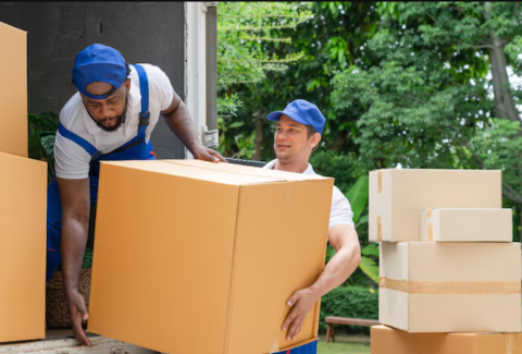 SwiftShift Moving Brothers profile image