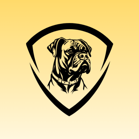 Boxers Moving Co profile image
