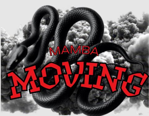 Mamba Moving profile image