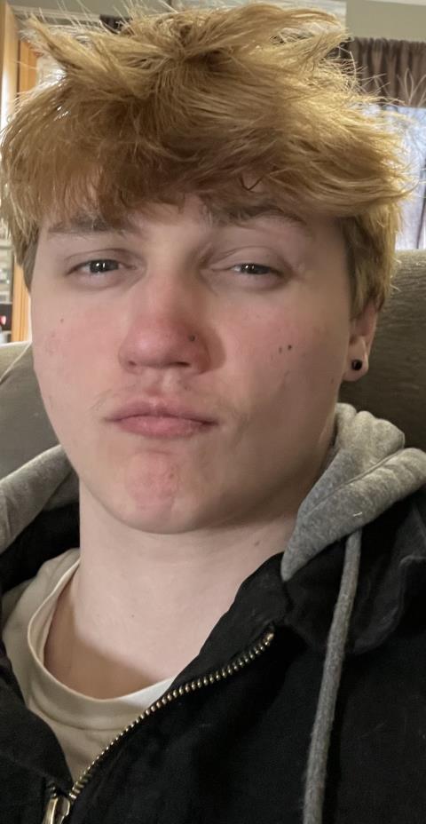 Pick It Up Movers profile image