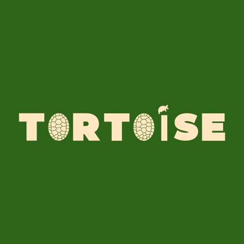 Tortoise Movers profile image