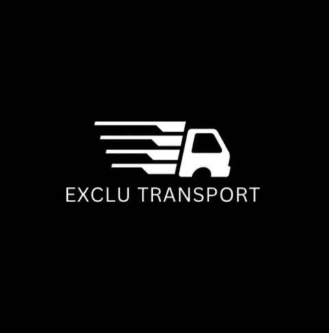 Exclu Transport profile image