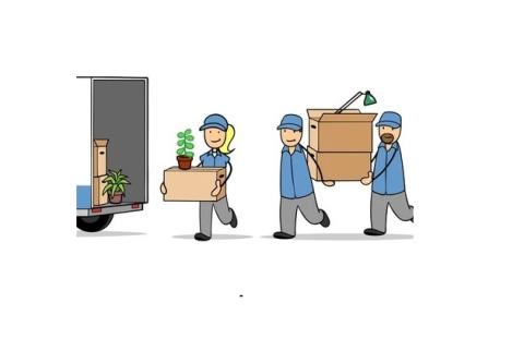 Timely Distribution profile image