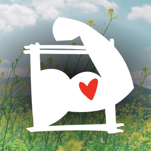Precision Moving profile image
