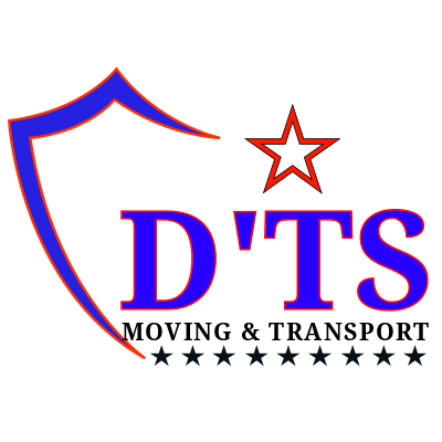 D'S TRANSITS SOLUTION profile image