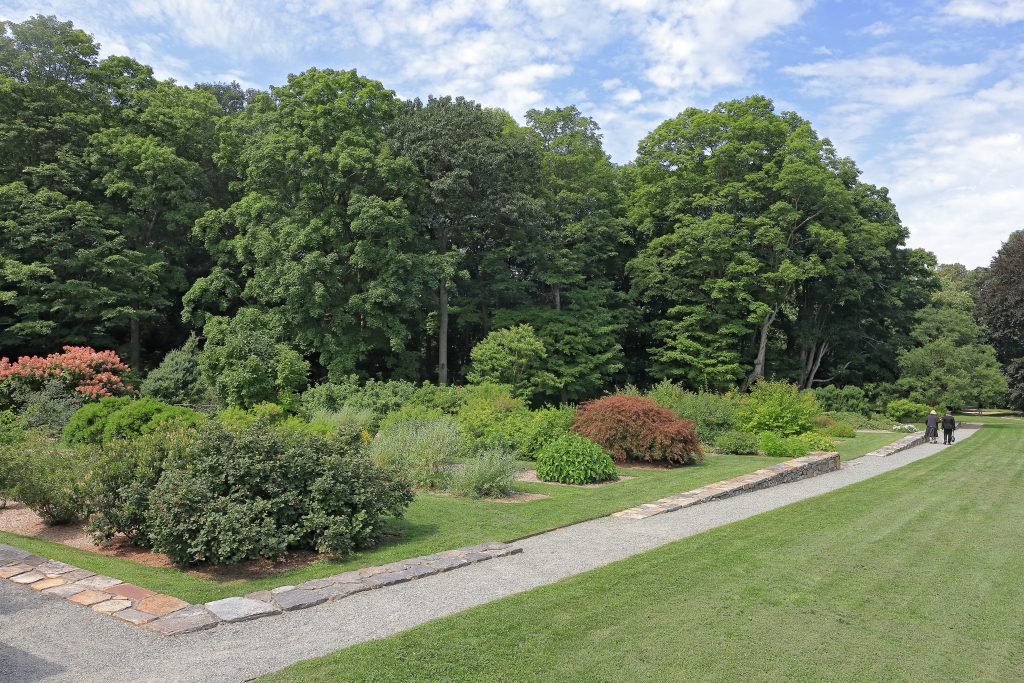 A landscape shot of the trees at Arnold Arboretum in Boston can be seen on a sunny afternoon.