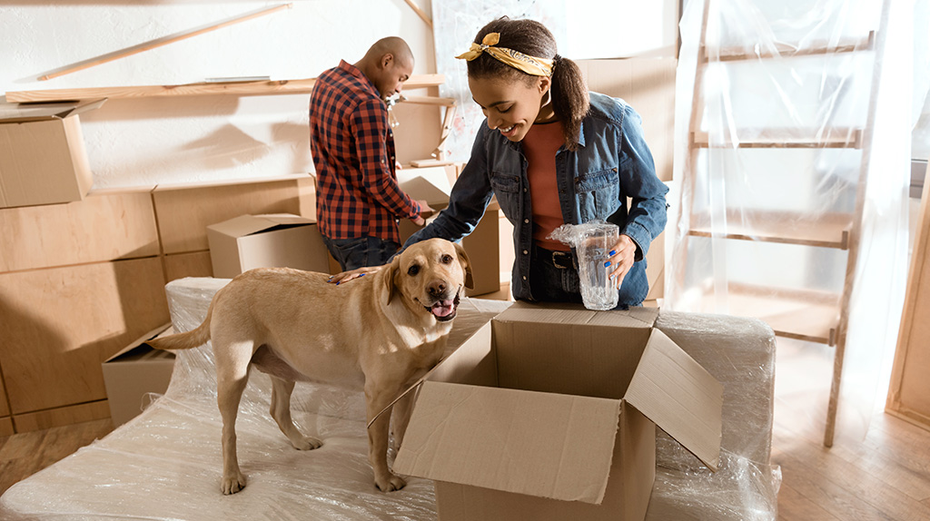 A couple begins unpacking their moving boxes while a dog walks around them.