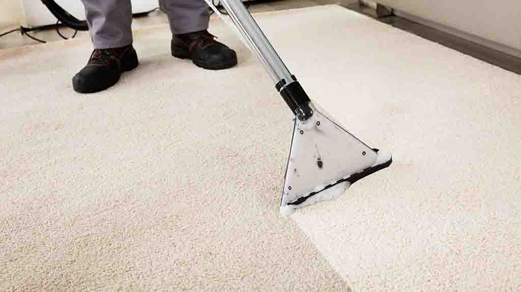 A person carefully goes over their carpet by deep cleaning it, so it’ll look new and smell fresh once their finished.