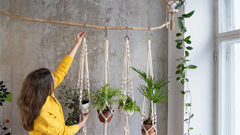 A woman places a plant onto a hook that attaches to an eco-friendly rod. Renter-friendly DIY projects include an eco-friendly hanging plants divider, which can work as a room divider.