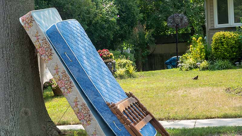 Two old mattresses and part of a bed frame lean against the tree next to a house.
