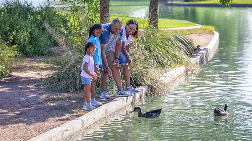 A family feeds some ducks at their HOA community’s lake.