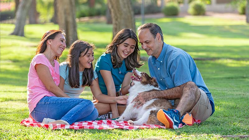 What Is the Best Month and Worst Month to Move?