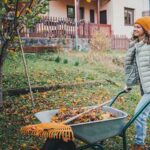 A woman pushes a wheelbarrow filled with fall leaves and a rake as she clean her house’s yard.