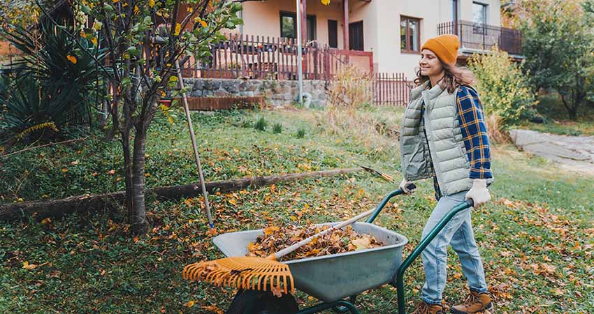 How to Clean Your Yard Before and After Moving