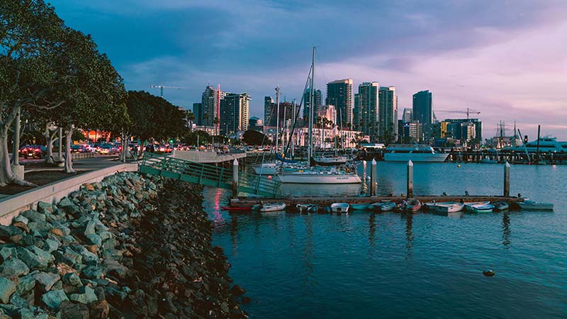 Top 8 Movers in San Diego