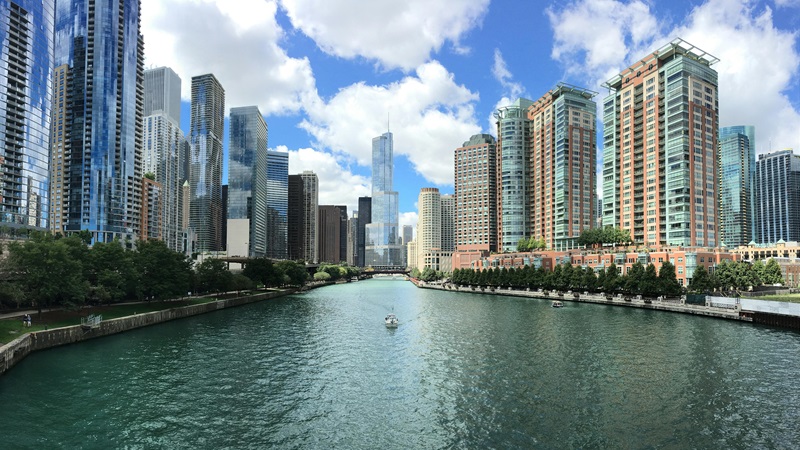 Top 8 Movers in Chicago (2026 Guide)