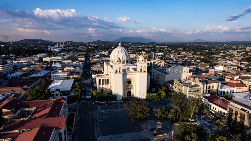 Top 8 Movers in San Antonio, TX (2026 Guide)