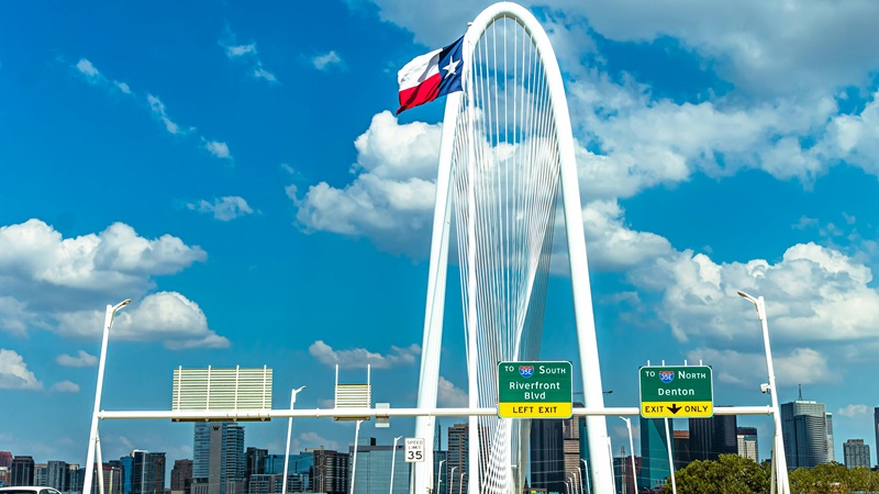 Top 8 Movers in Dallas, TX (2026 Guide)